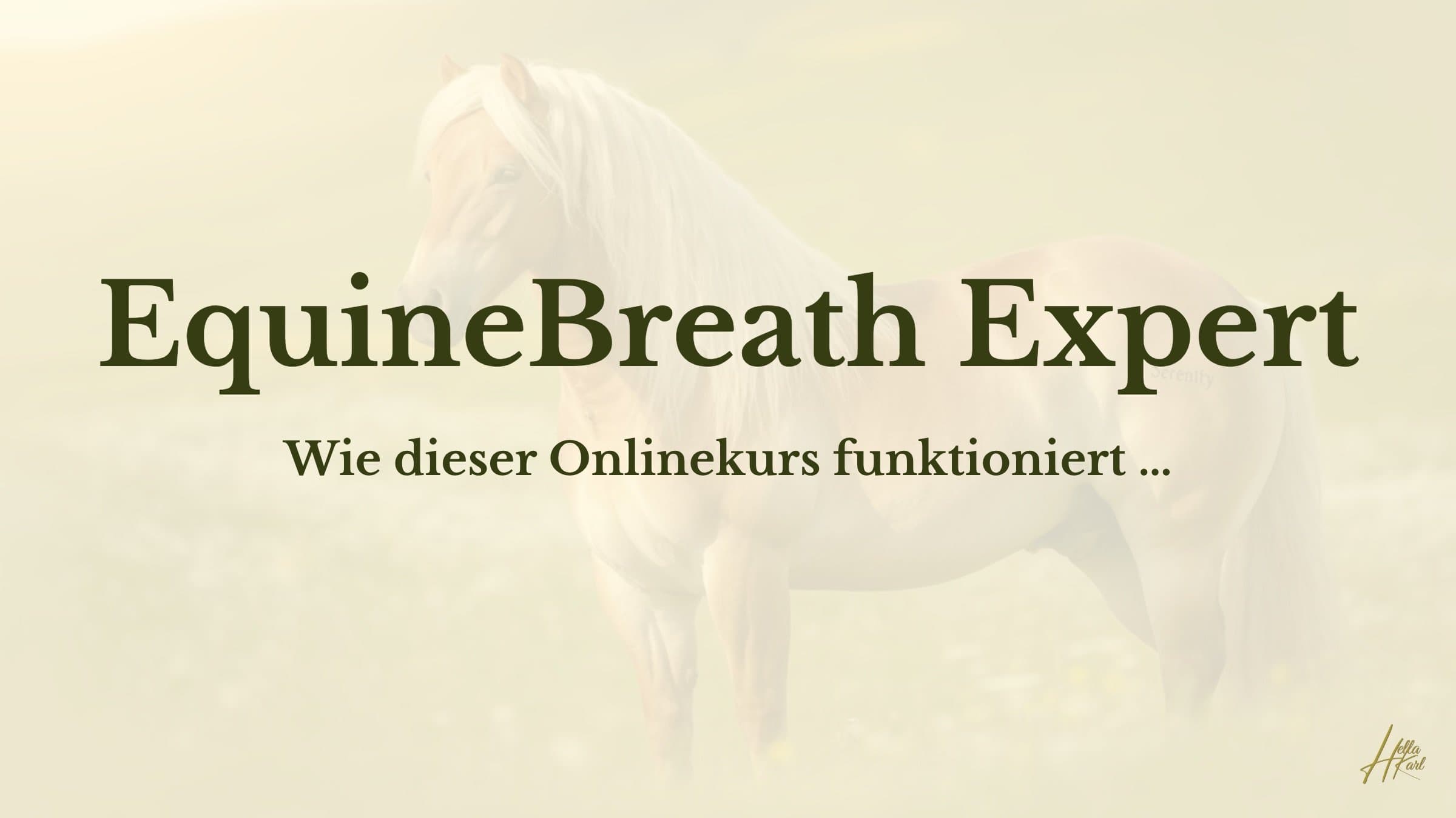 Wie funktioniert dieser Kurs