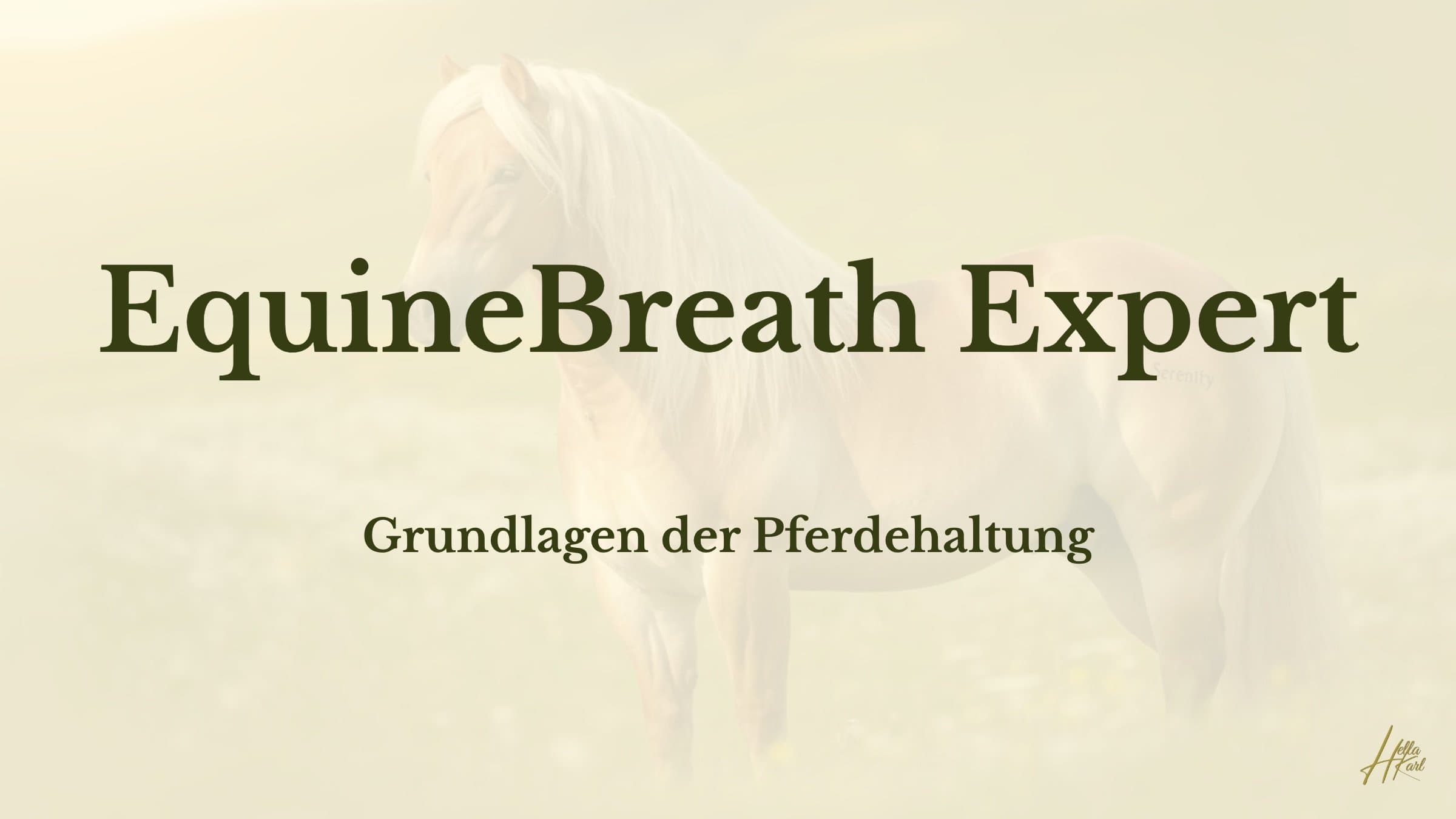 Grundlagen der Pferdehaltung