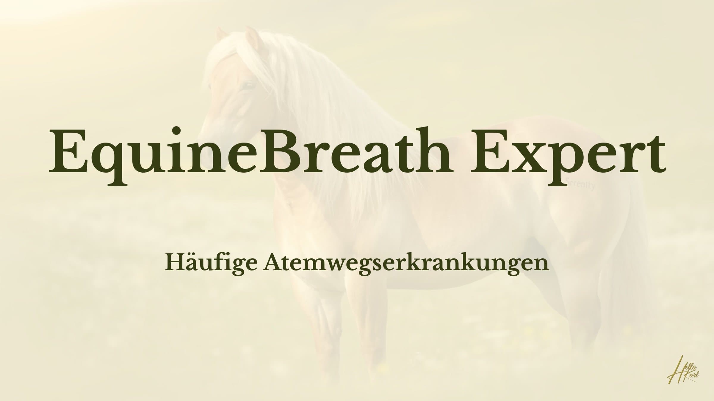 Häufige Atemwegserkrankungen