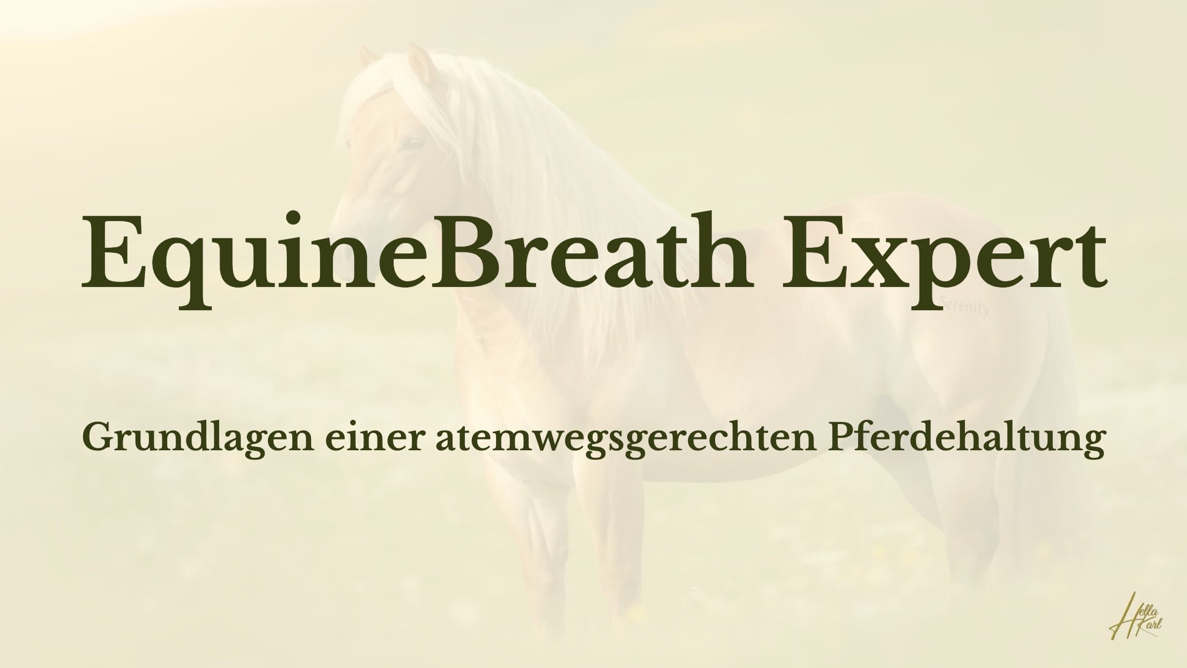 Grundlagen einer atemwegsgerechten Pferdehaltung