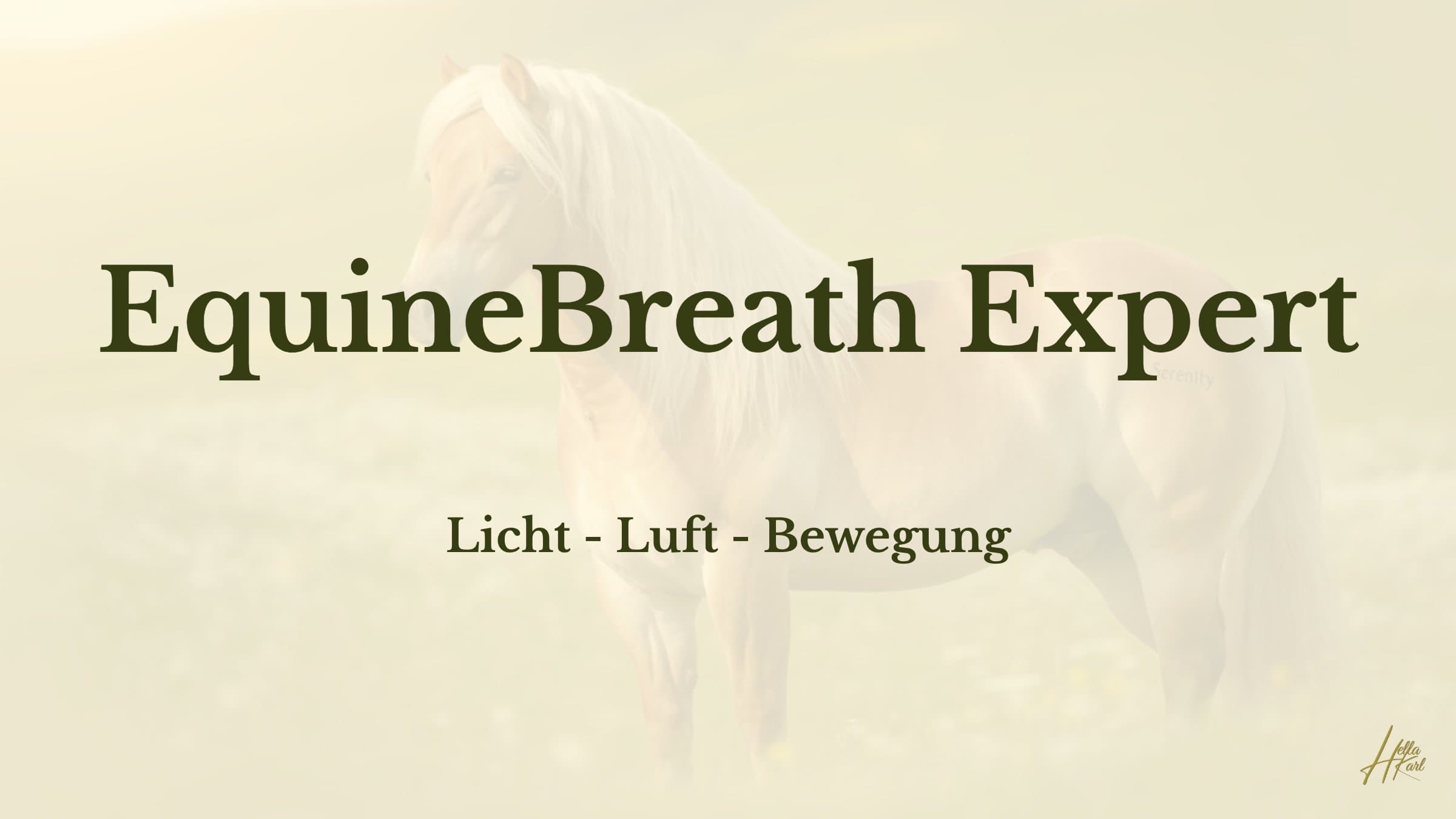 Licht - Luft - Bewegung