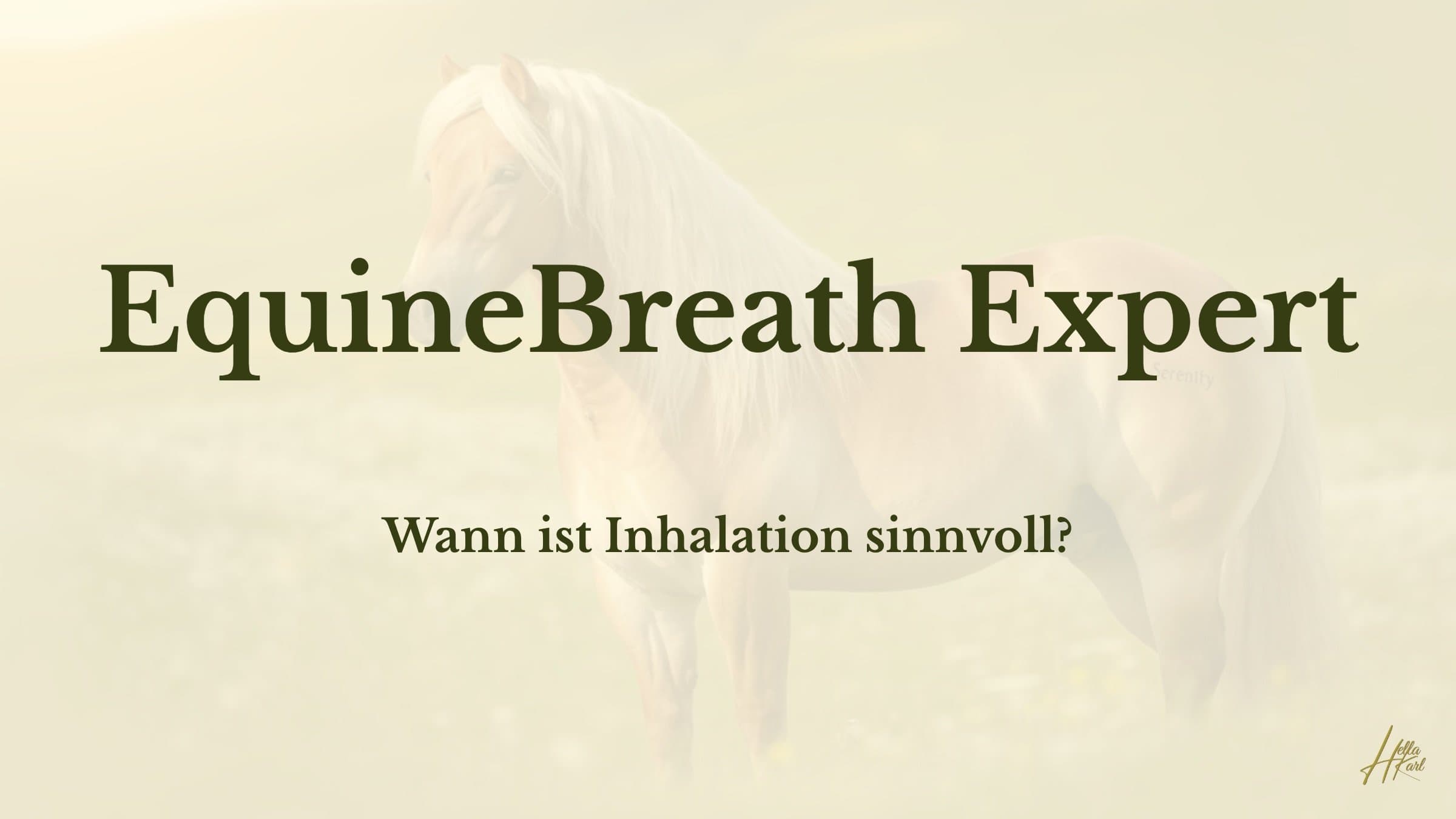 Wann ist Inhalation sinnvoll?