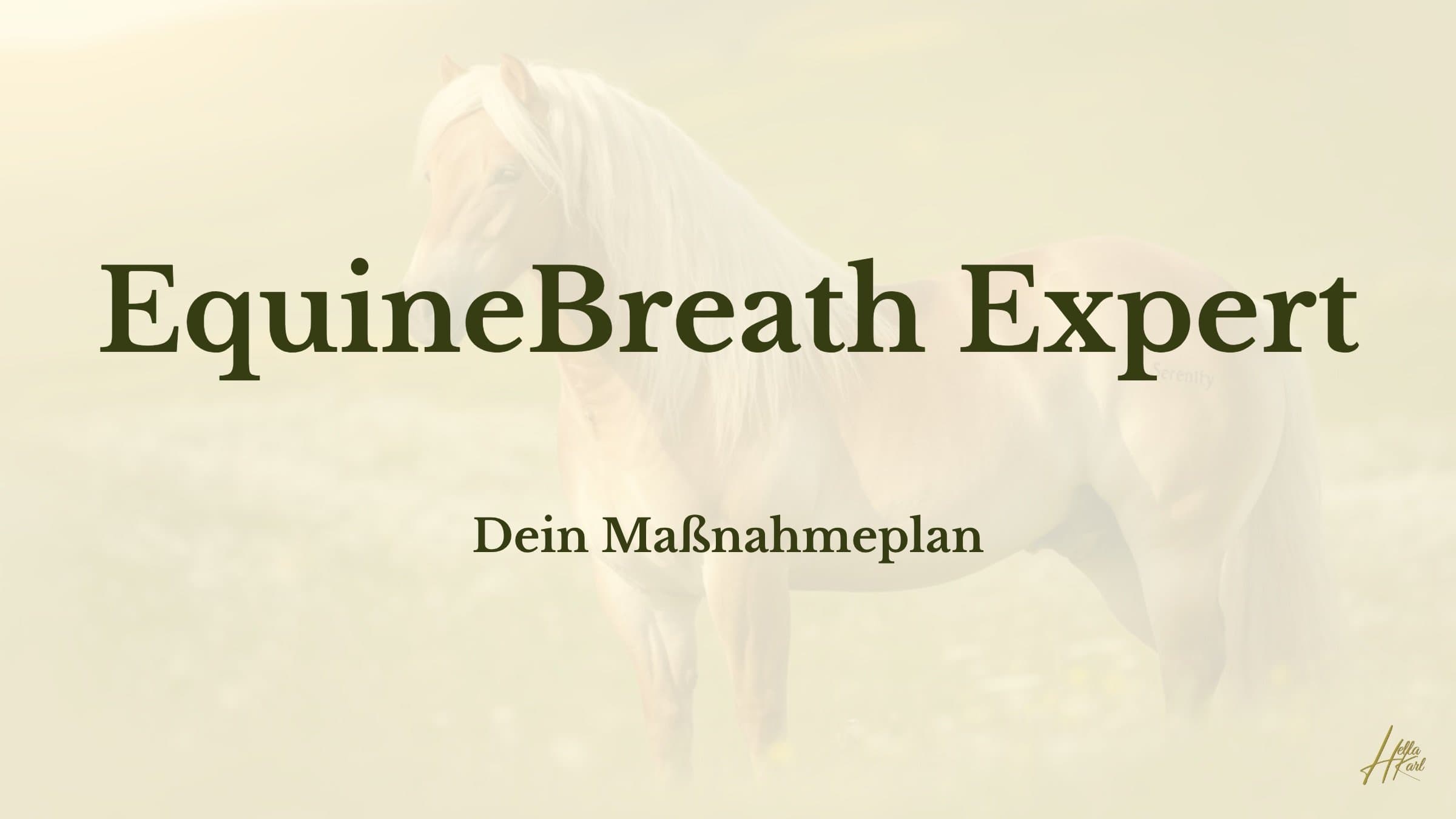 Erstelle den perfekten Managementplan für dein Pferd