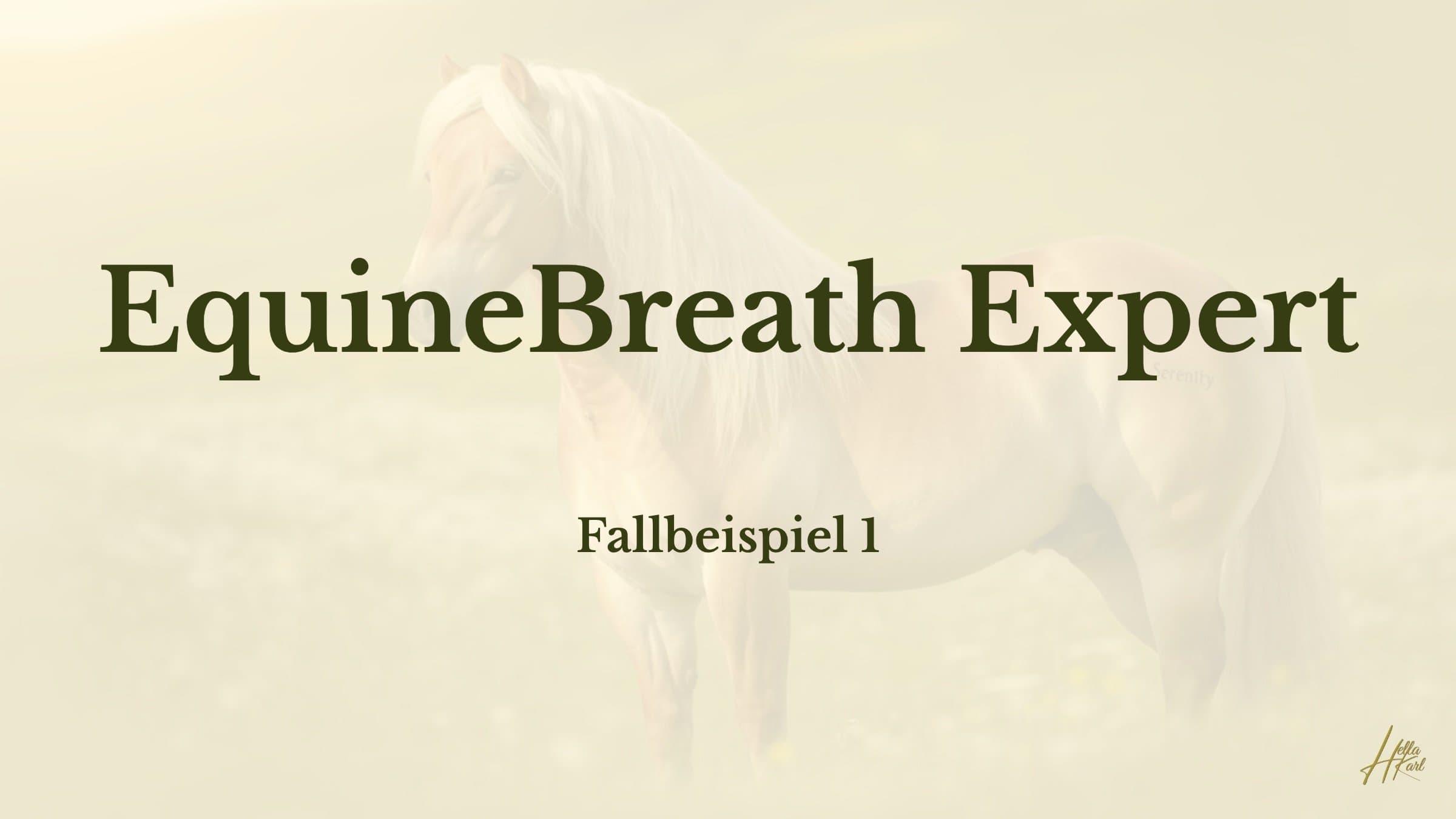 Fallbeispiel 1 aus der Praxis