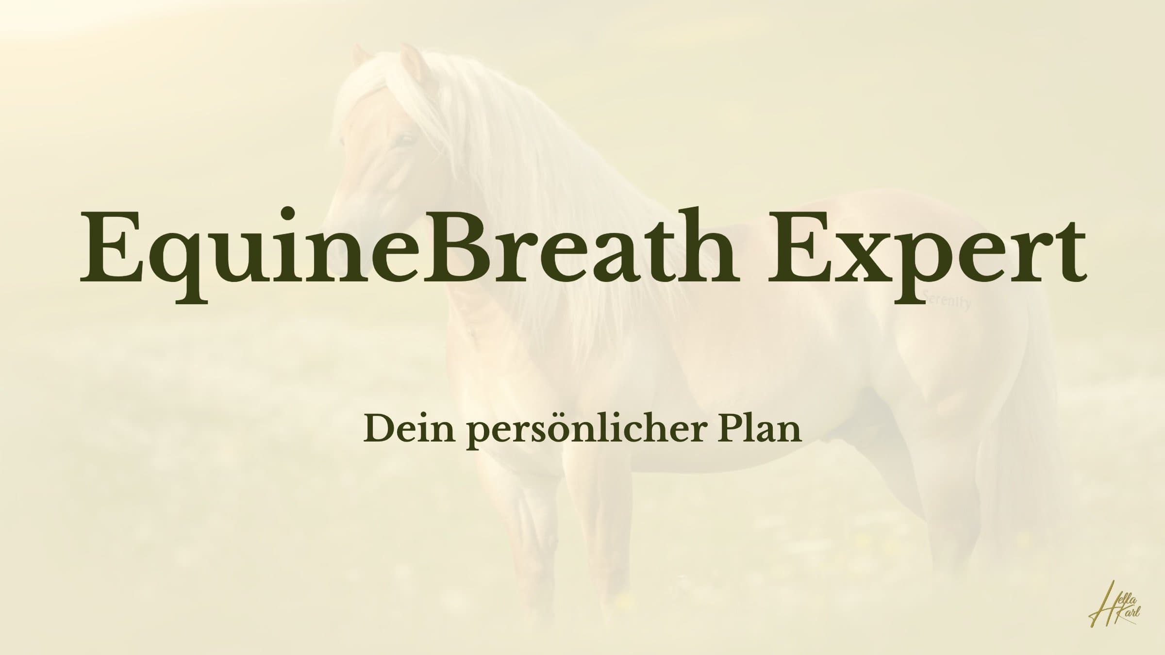Dein persönlicher Plan