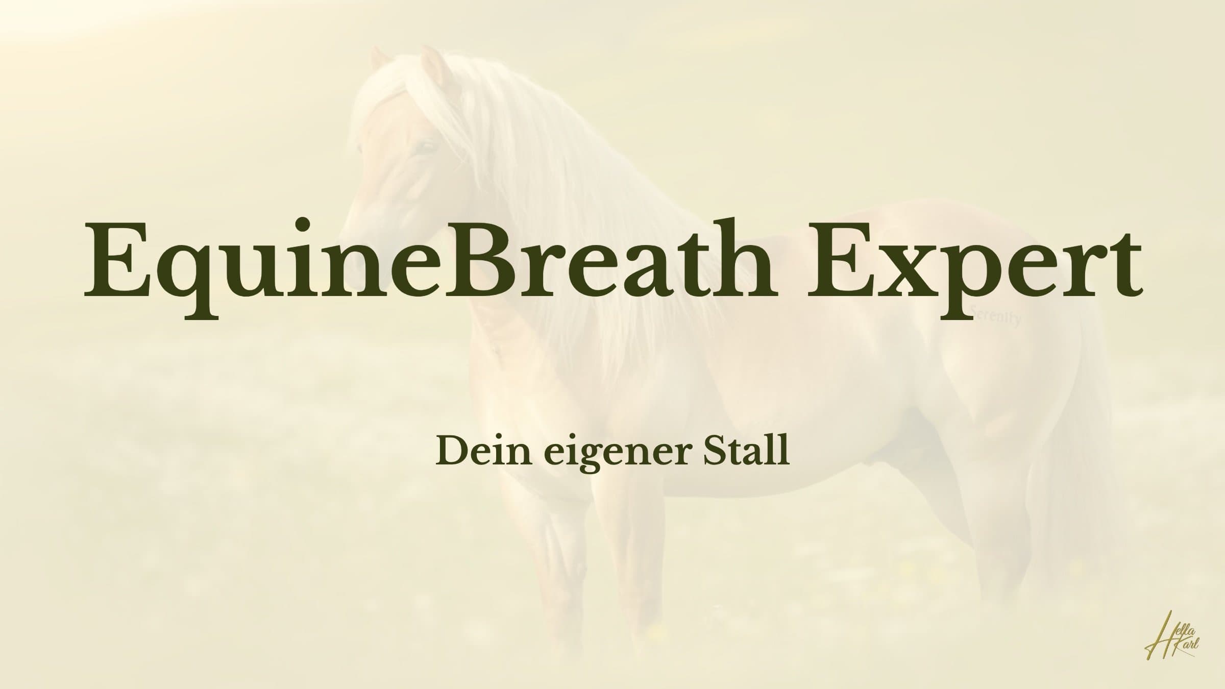 Aktivstall für atemwegserkrankte Pferde