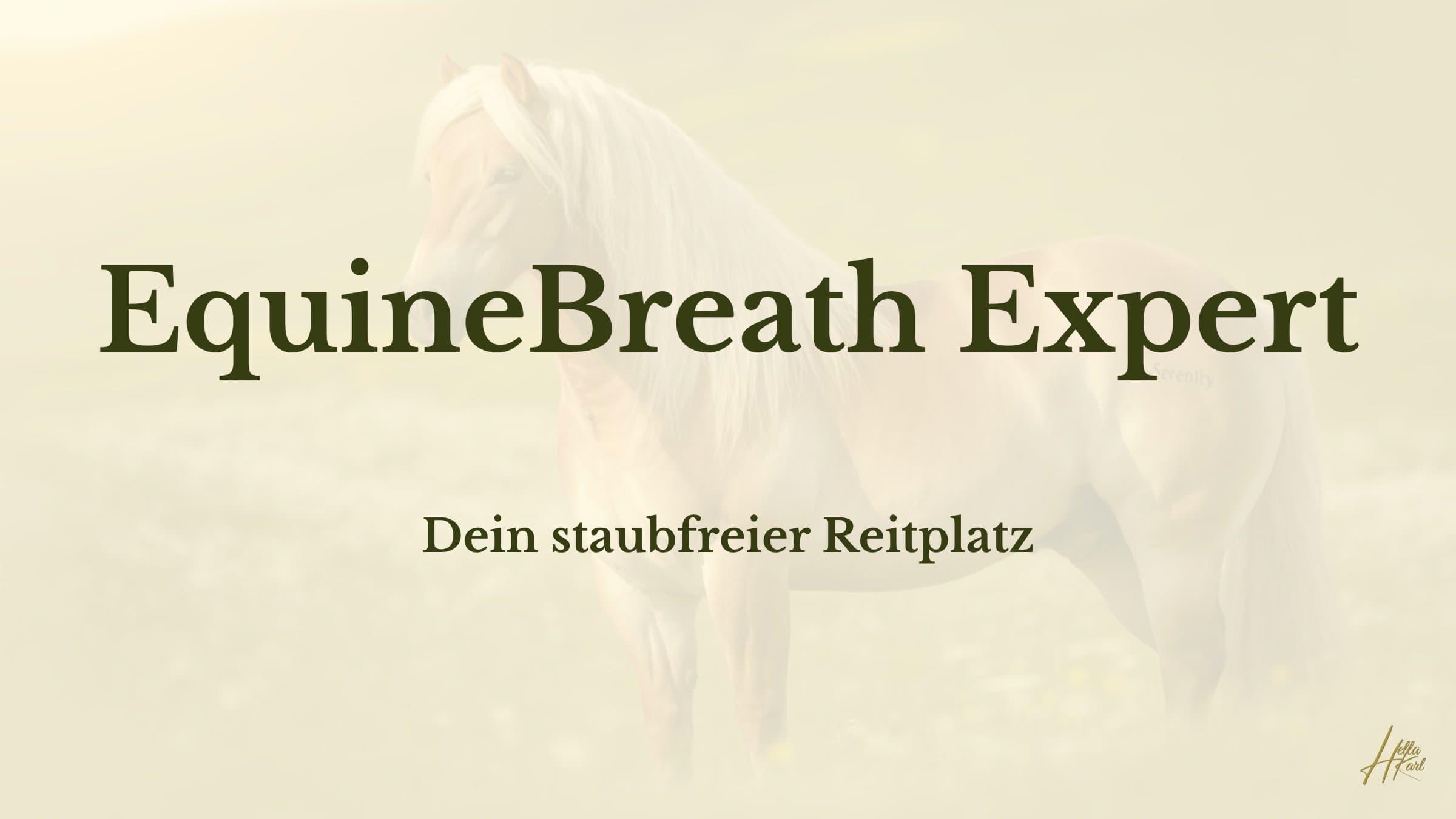 Reitplatzgestaltung für Allergikerpferde